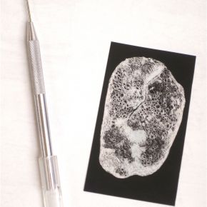 The Scratch Negative